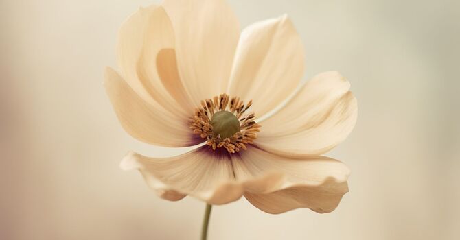 Laser Tattoo Removal